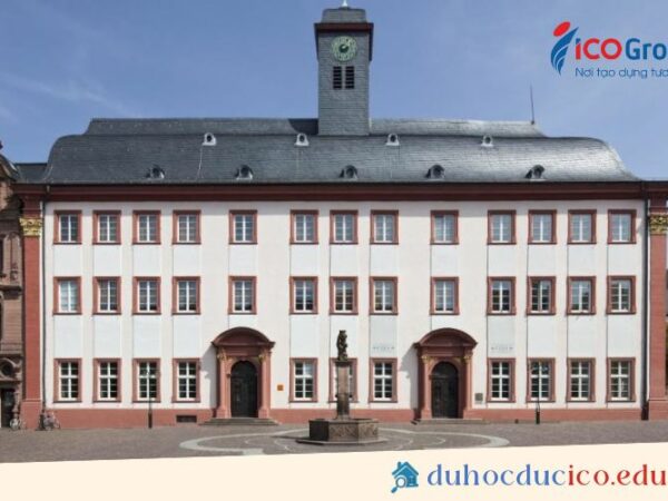 du hoc dai hoc heidelberg