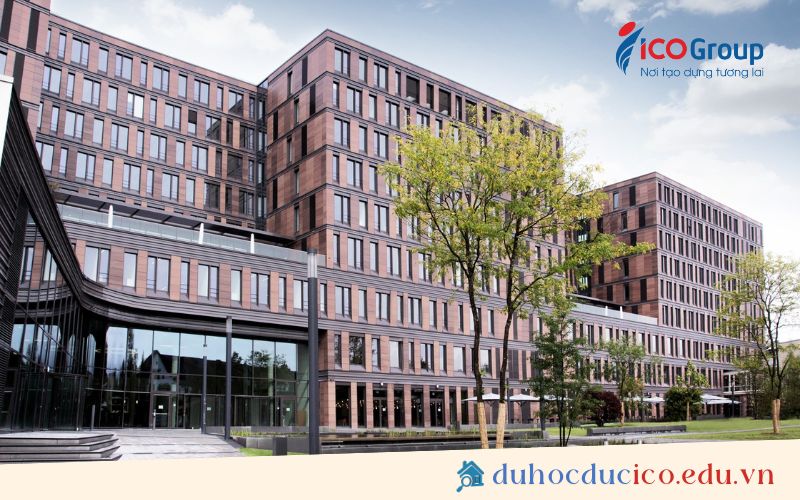 frankfurt school of finance management