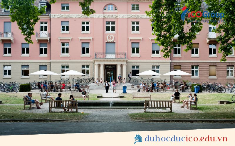 he thong dao tao heidelberg university