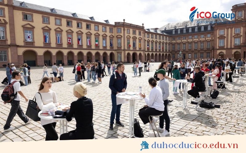 university of mannheim