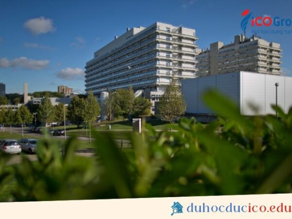 du hoc dai hoc stuttgart
