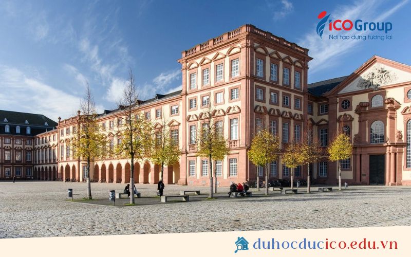 dai hoc mannheim