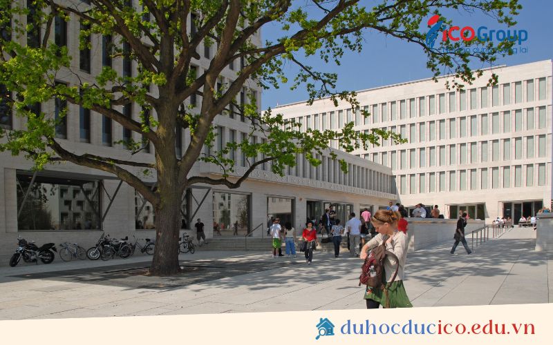 du hoc dai hoc goethe frankfurt