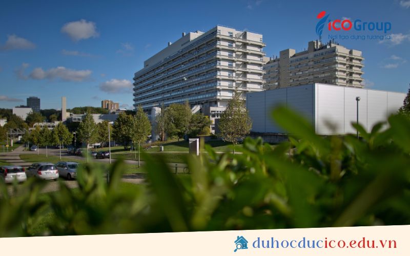 du hoc dai hoc stuttgart