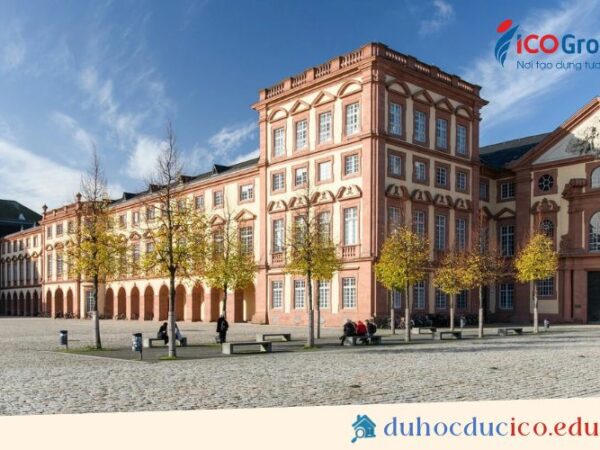 dai hoc mannheim